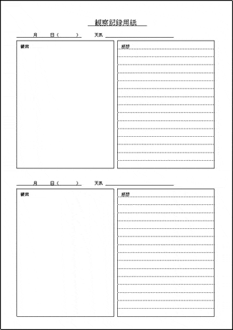 観察記録用紙のテンプレート